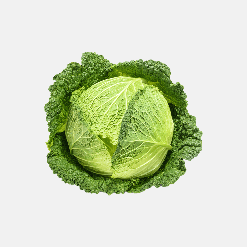 green cabbage organic