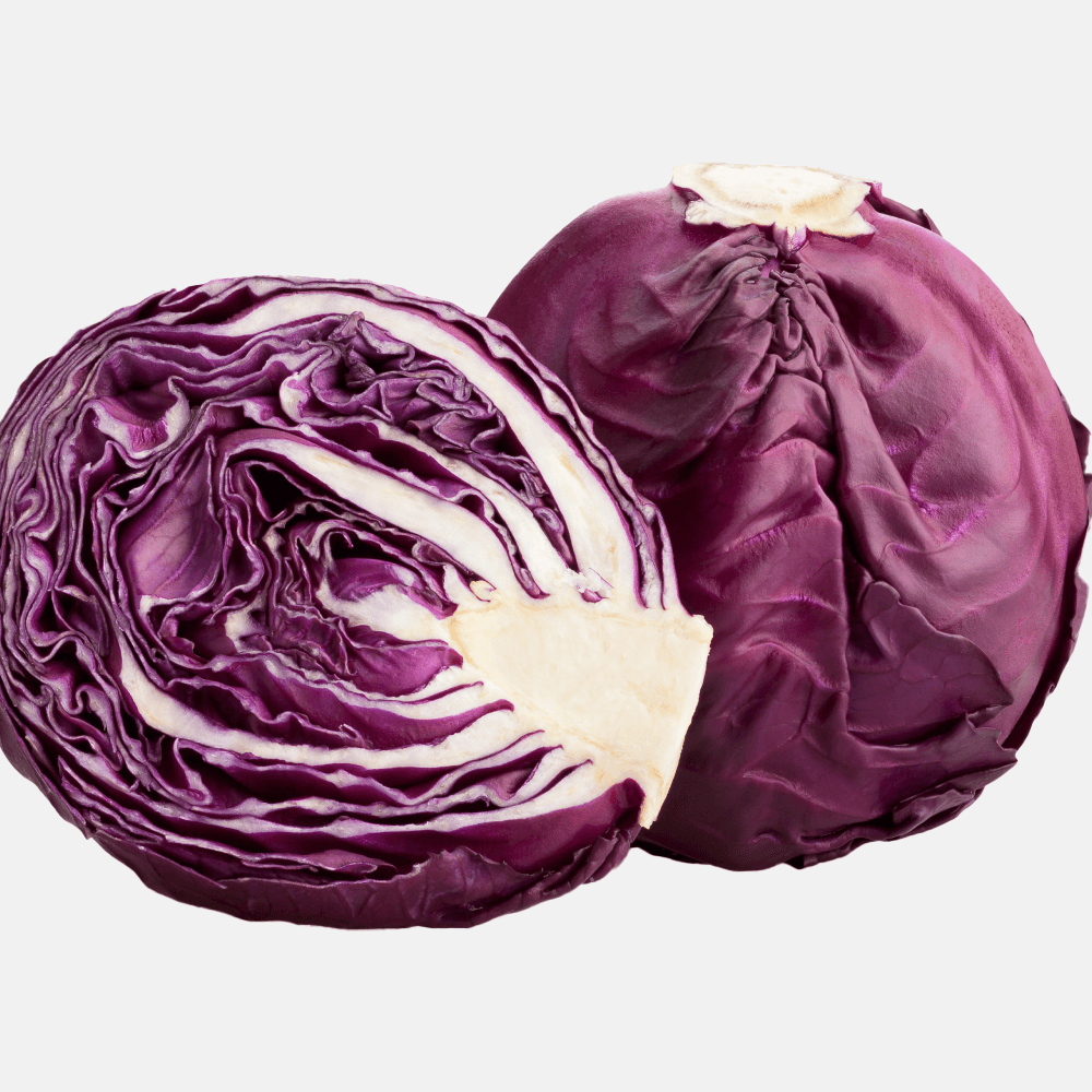 purple cabbage organic