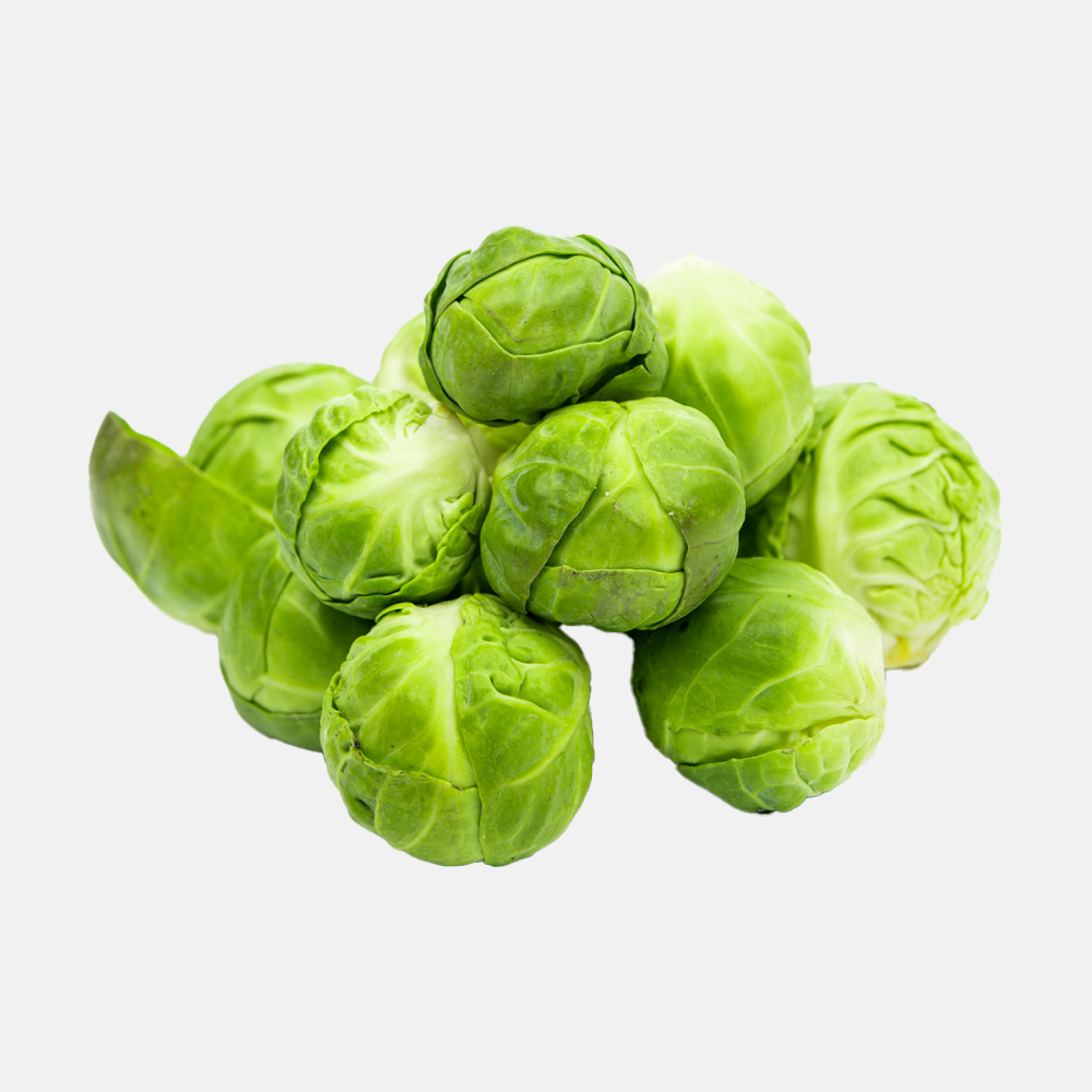 green cabbage organic